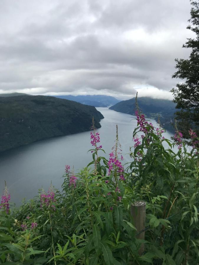 Apartment Panorama Fjord Olden